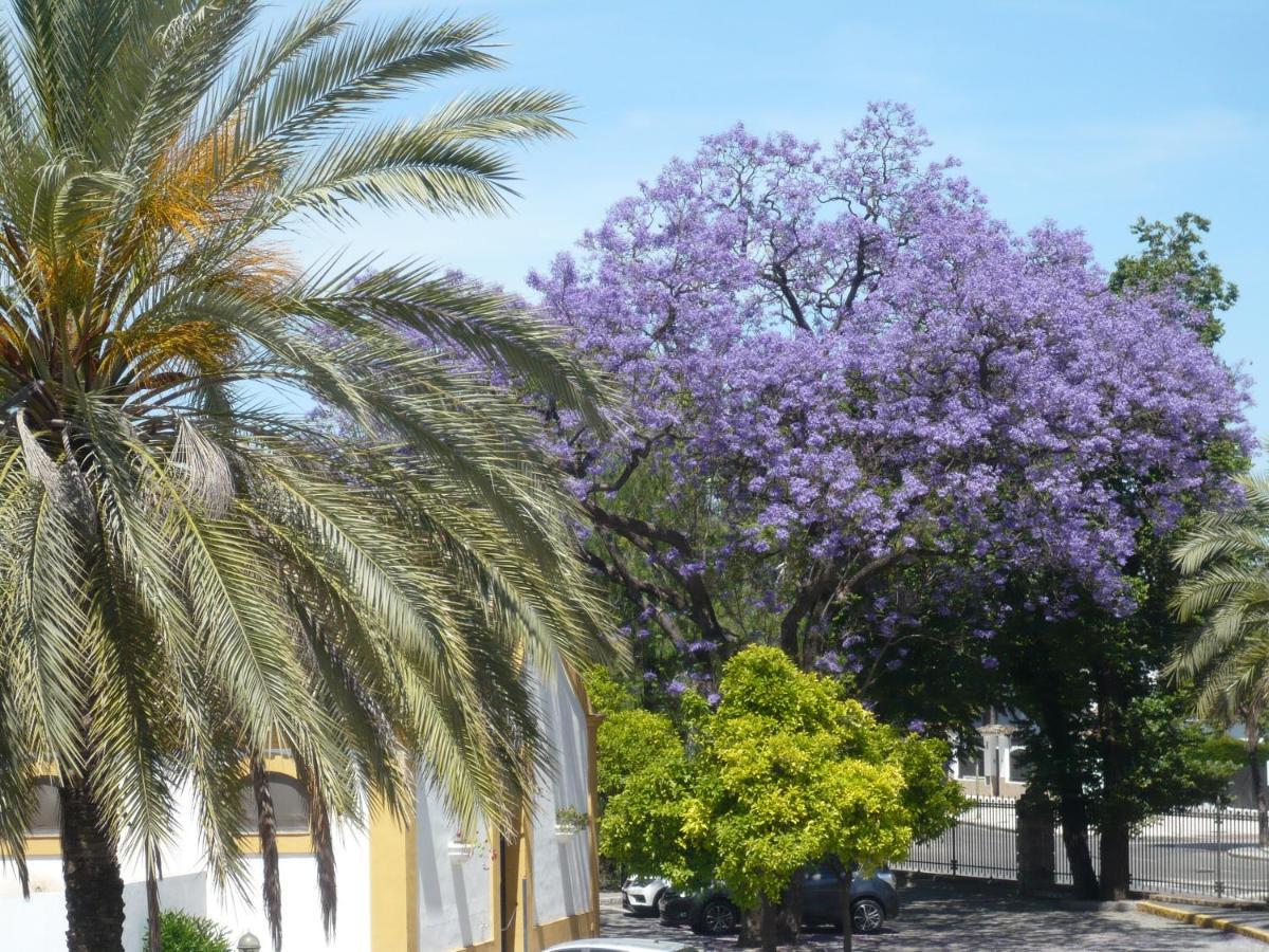 Real Escuela Home Jerez de la Frontera Kültér fotó